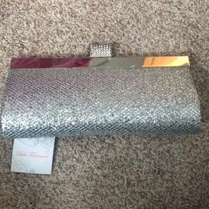 Silver sparkle clutch